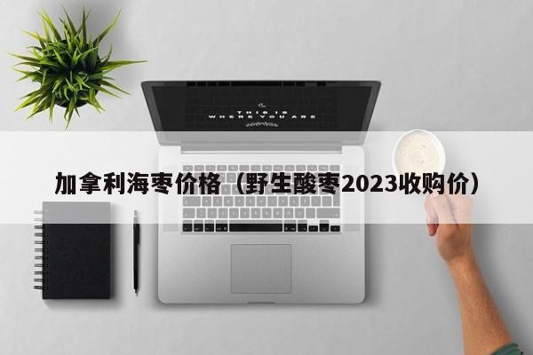 加拿利海枣价格（野生酸枣2023收购价）