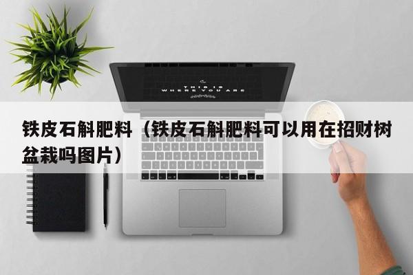 铁皮石斛肥料（铁皮石斛肥料可以用在招财树盆栽吗图片）