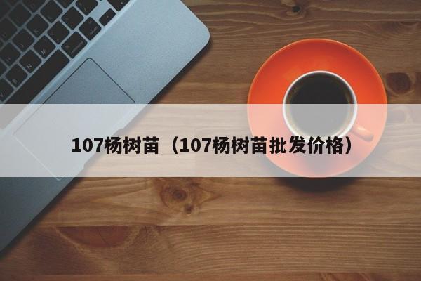 107杨树苗（107杨树苗批发价格）