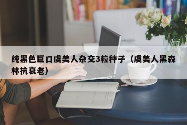 纯黑色巨口虞美人杂交3粒种子（虞美人黑森林抗衰老）