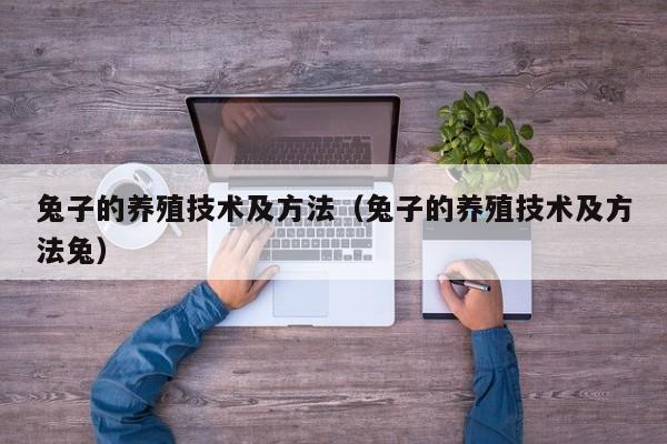 兔子的养殖技术及方法（兔子的养殖技术及方法兔）