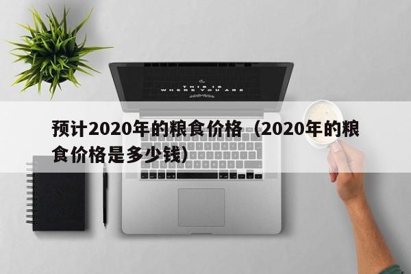 预计2020年的粮食价格（2020年的粮食价格是多少钱）