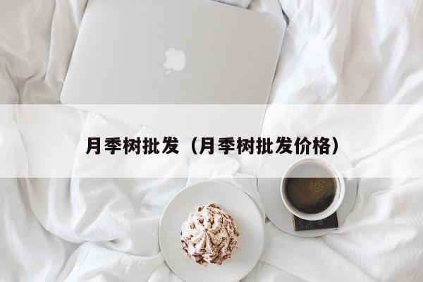 月季树批发（月季树批发价格）