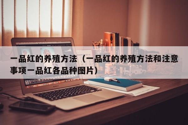 一品红的养殖方法（一品红的养殖方法和注意事项一品红各品种图片）