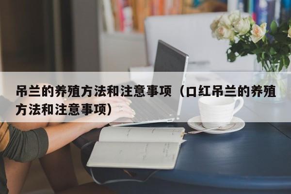 吊兰的养殖方法和注意事项（口红吊兰的养殖方法和注意事项）