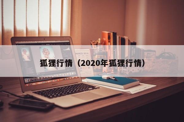 狐狸行情（2020年狐狸行情）