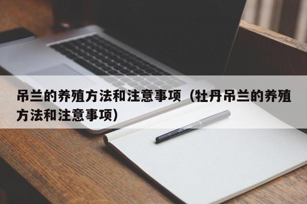 吊兰的养殖方法和注意事项（牡丹吊兰的养殖方法和注意事项）