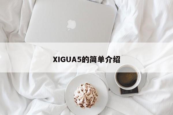 XIGUA5的简单介绍