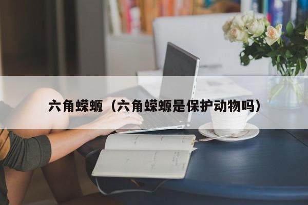 六角蝾螈（六角蝾螈是保护动物吗）