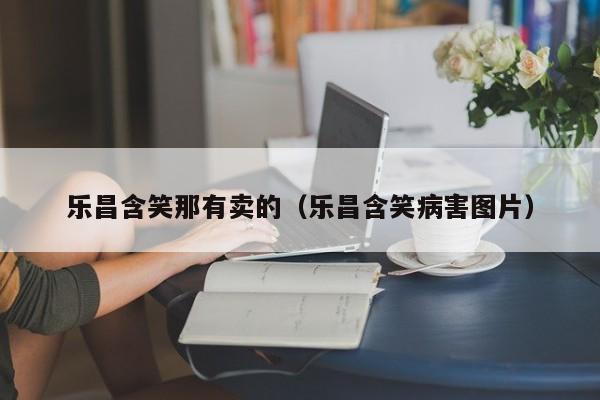 乐昌含笑那有卖的（乐昌含笑病害图片）