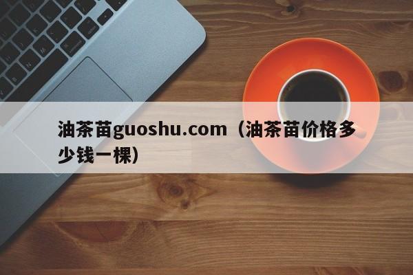 油茶苗guoshu.com（油茶苗价格多少钱一棵）