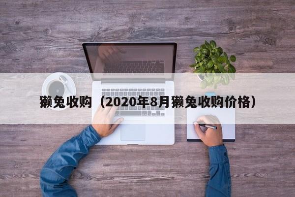 獭兔收购（2020年8月獭兔收购价格）