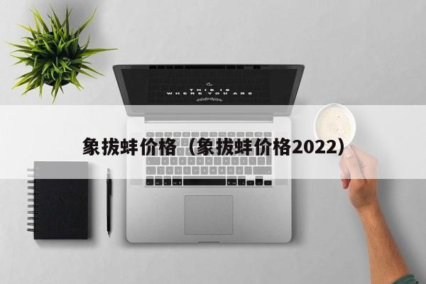 象拔蚌价格（象拔蚌价格2022）