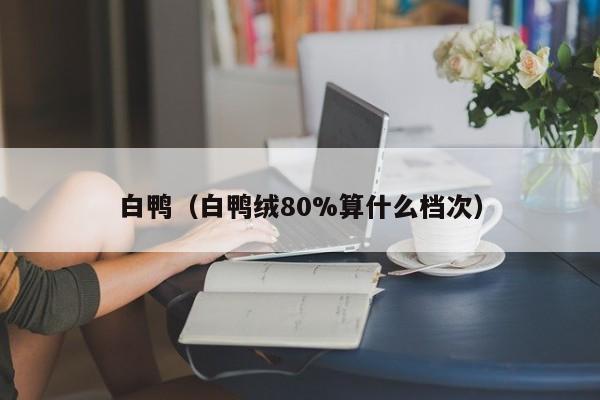 白鸭（白鸭绒80%算什么档次）