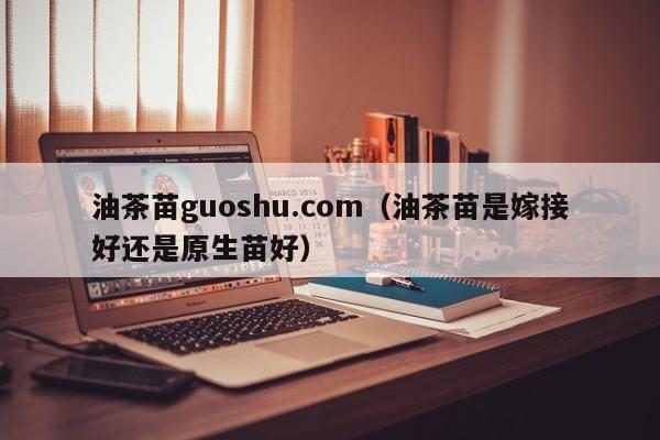 油茶苗guoshu.com（油茶苗是嫁接好还是原生苗好）