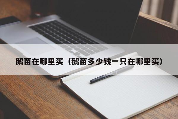 鹅苗在哪里买（鹅苗多少钱一只在哪里买）