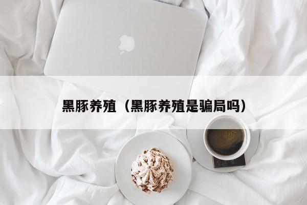 黑豚养殖（黑豚养殖是骗局吗）