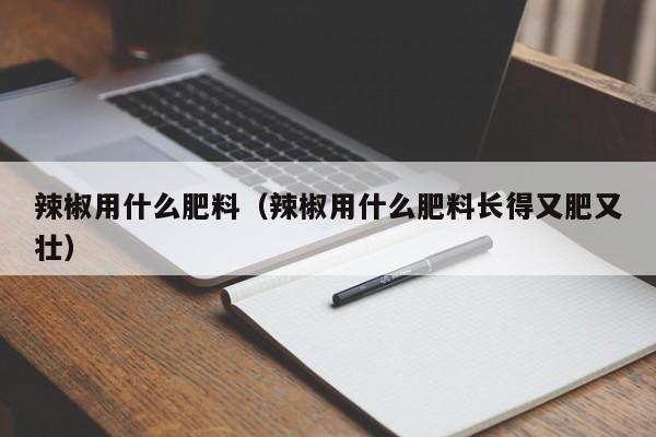 辣椒用什么肥料（辣椒用什么肥料长得又肥又壮）