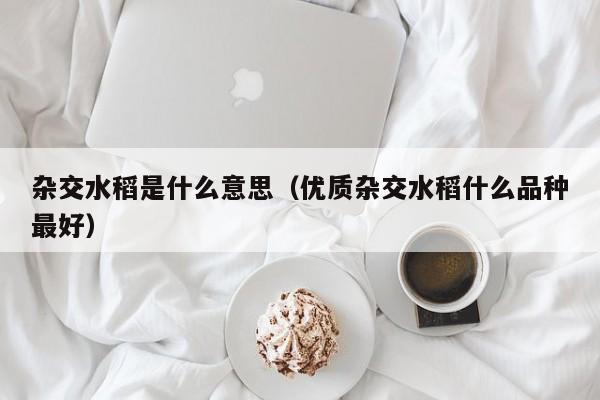 杂交水稻是什么意思（优质杂交水稻什么品种最好）