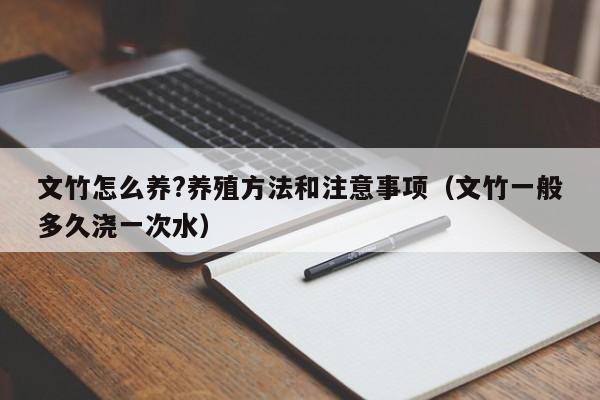 文竹怎么养?养殖方法和注意事项（文竹一般多久浇一次水）