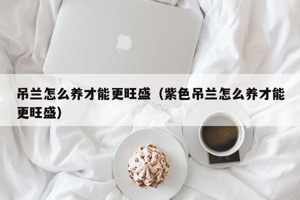 吊兰怎么养才能更旺盛（紫色吊兰怎么养才能更旺盛）