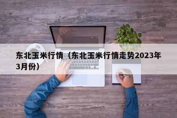 东北玉米行情（东北玉米行情走势2023年3月份）