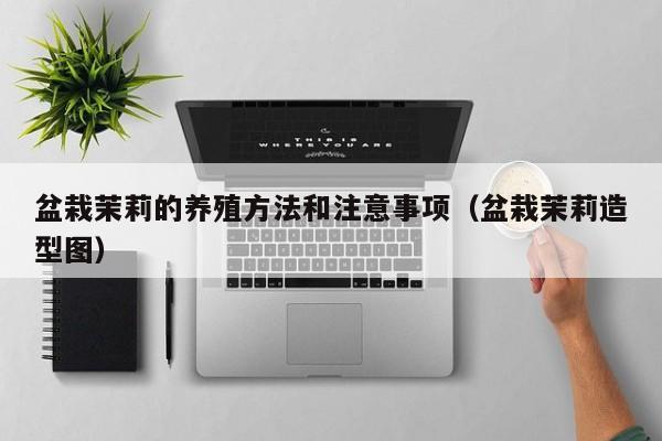 盆栽茉莉的养殖方法和注意事项（盆栽茉莉造型图）