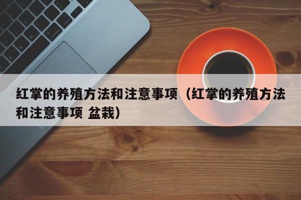 红掌的养殖方法和注意事项（红掌的养殖方法和注意事项 盆栽）