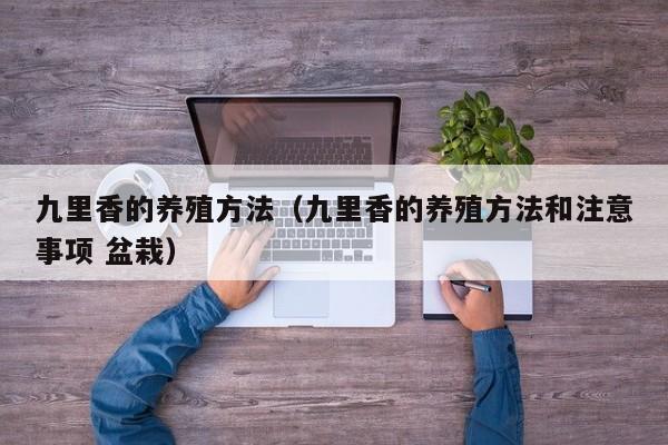 九里香的养殖方法（九里香的养殖方法和注意事项 盆栽）