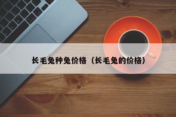 长毛兔种兔价格（长毛兔的价格）