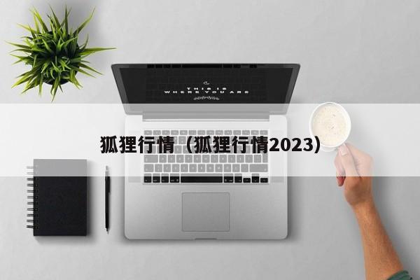 狐狸行情（狐狸行情2023）