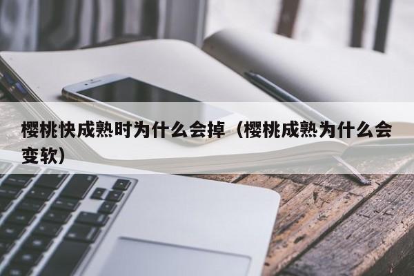 樱桃快成熟时为什么会掉（樱桃成熟为什么会变软）