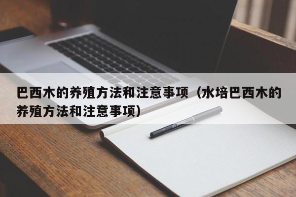 巴西木的养殖方法和注意事项（水培巴西木的养殖方法和注意事项）