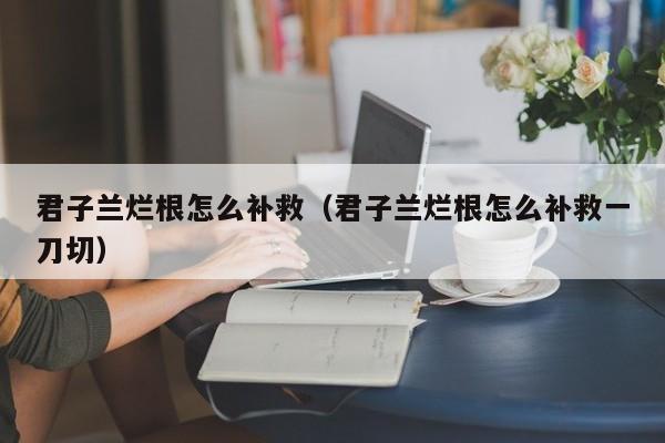 君子兰烂根怎么补救（君子兰烂根怎么补救一刀切）