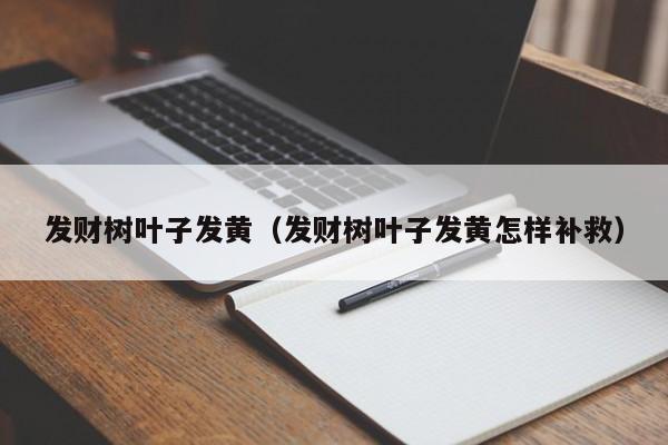 发财树叶子发黄（发财树叶子发黄怎样补救）