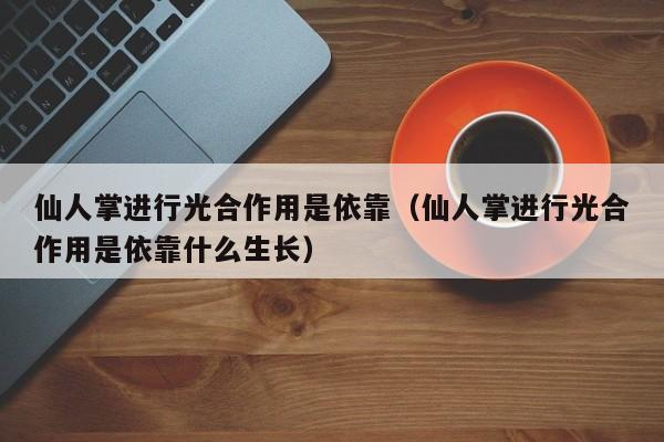 仙人掌进行光合作用是依靠（仙人掌进行光合作用是依靠什么生长）