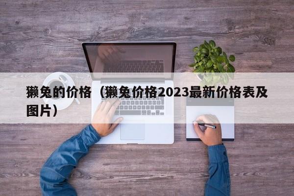 獭兔的价格（獭兔价格2023最新价格表及图片）