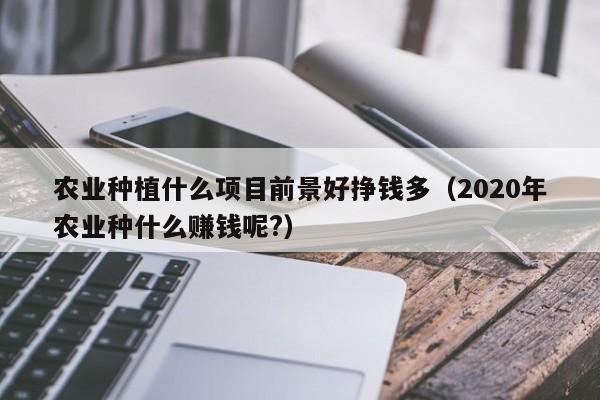 农业种植什么项目前景好挣钱多（2020年农业种什么赚钱呢?）