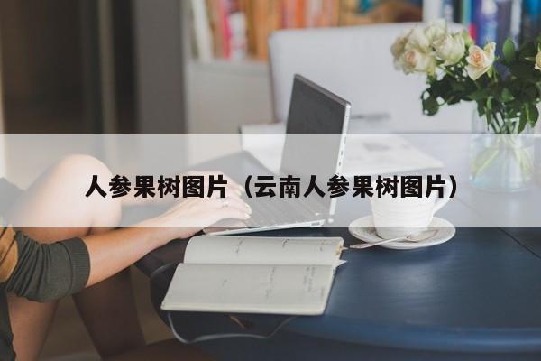 人参果树图片（云南人参果树图片）