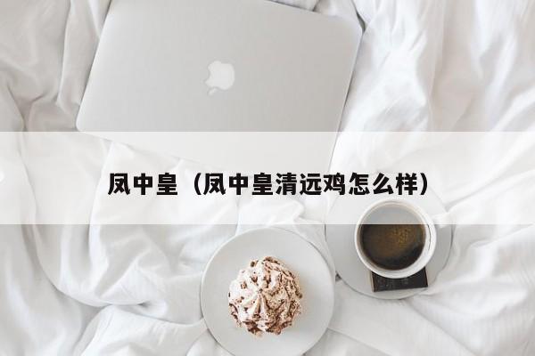 凤中皇（凤中皇清远鸡怎么样）